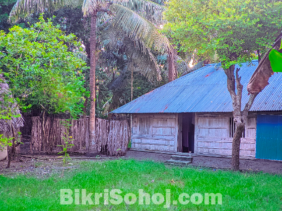 গ্রামের মনোরম পরিবেশে জমি বিক্রয়